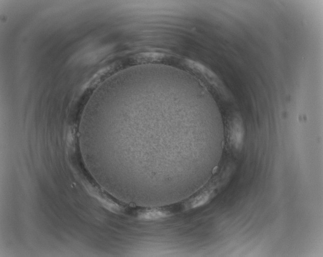 X0000080720759200612151158