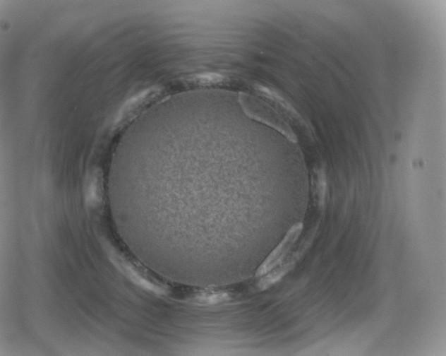 X0000080720760200612151158