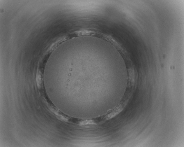 X0000080720761200612151159