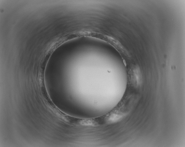 X0000080720762200612151159