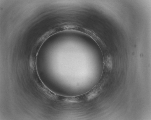 X0000080720763200612151159