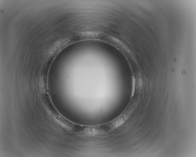 X0000080720764200612151159