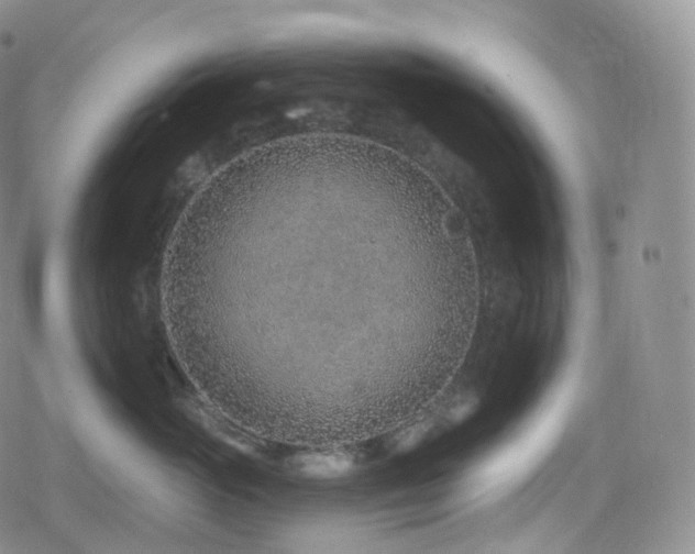 X0000080720765200612151159