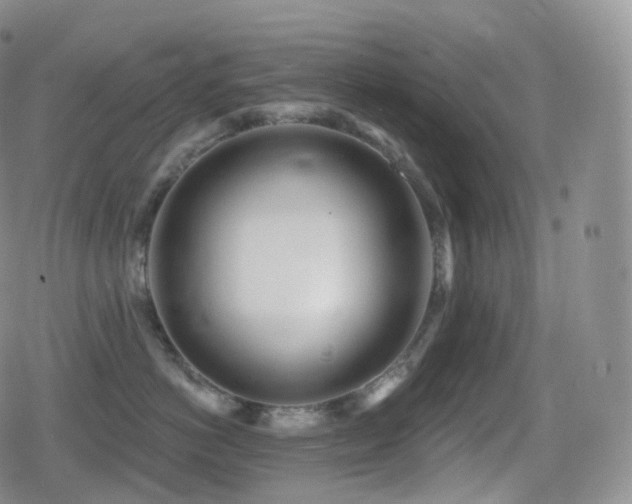 X0000080720766200612151159