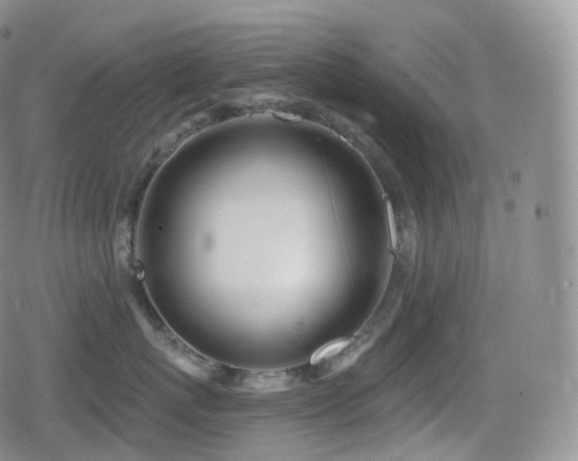 X0000080720767200612151159