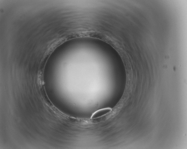 X0000080720768200612151159