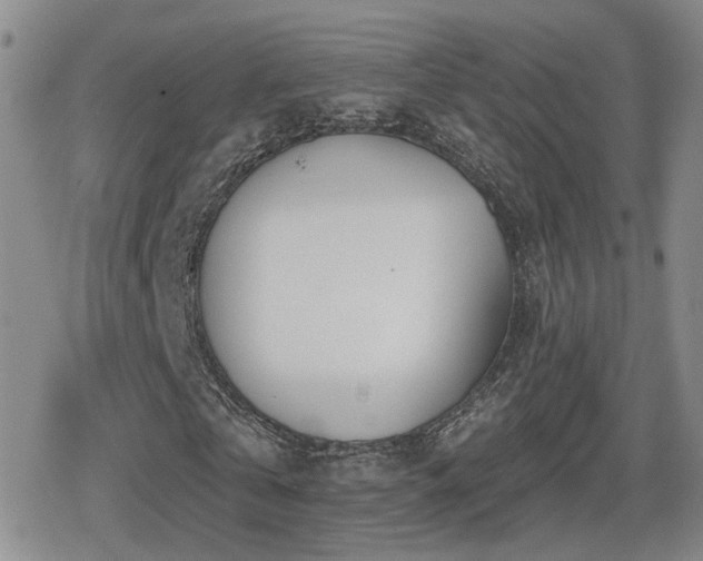 X0000080720769200612151158