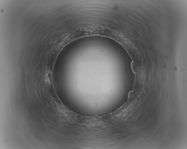 X0000080720770200612151158