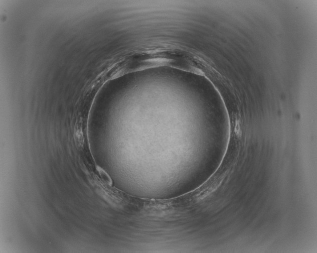 X0000080720771200612151158