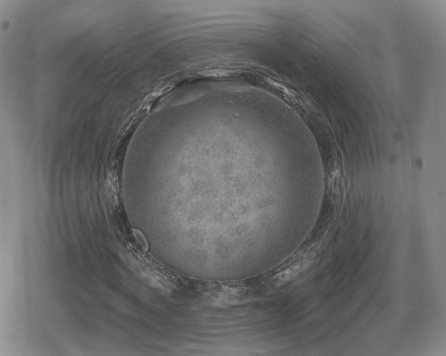 X0000080720772200612151158