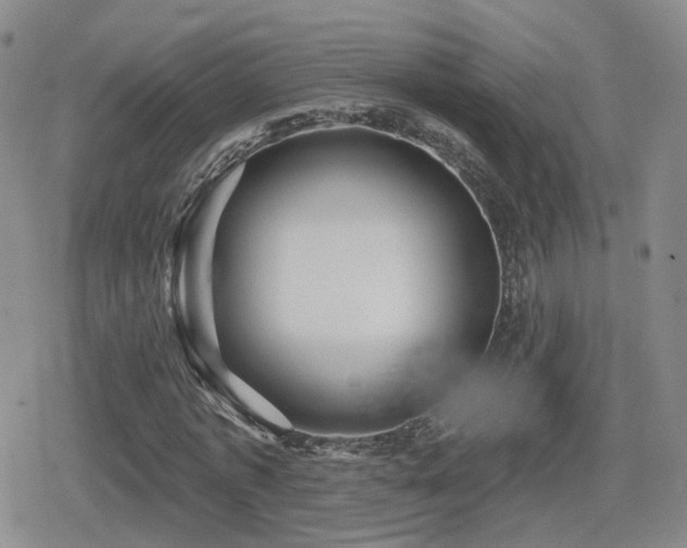 X0000080720773200612151158