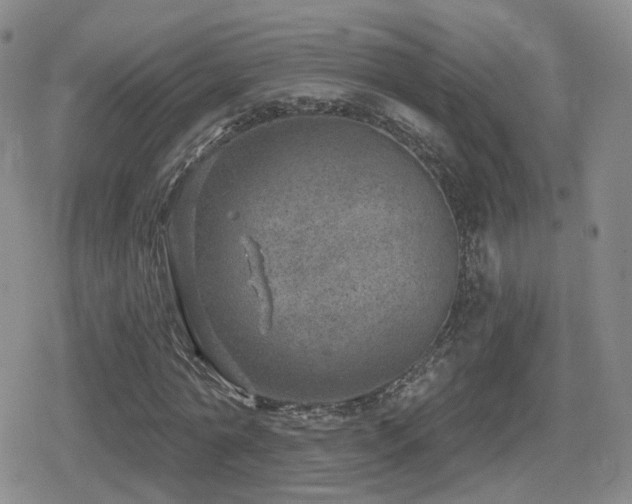 X0000080720774200612151158