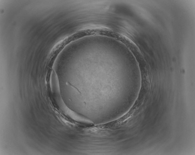 X0000080720775200612151158