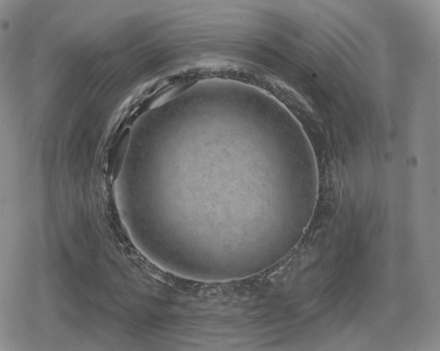 X0000080720776200612151158