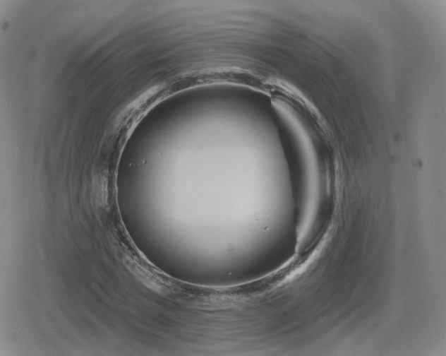 X0000080720777200612151158