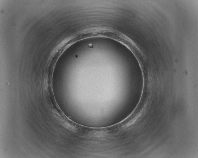 X0000080720778200612151158