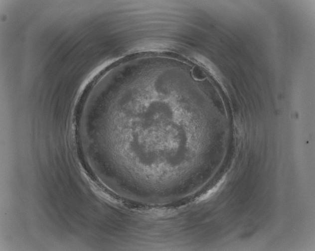 X0000080720779200612151158