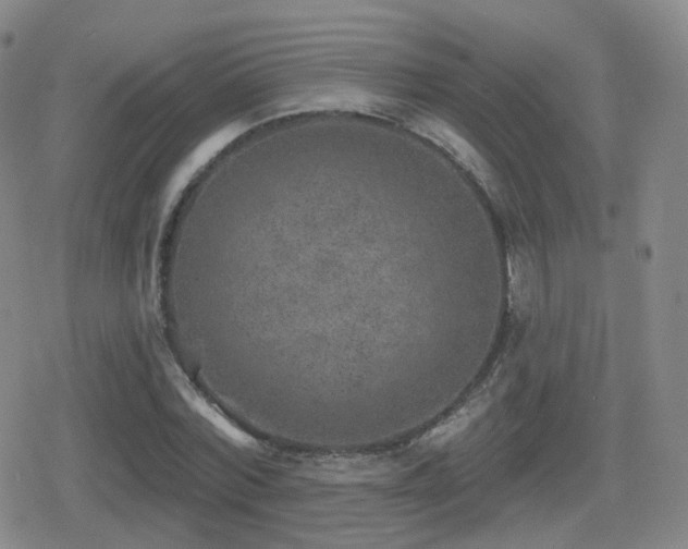 X0000080720780200612151158