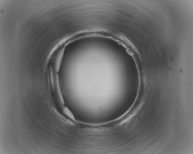 X0000080720781200612151158