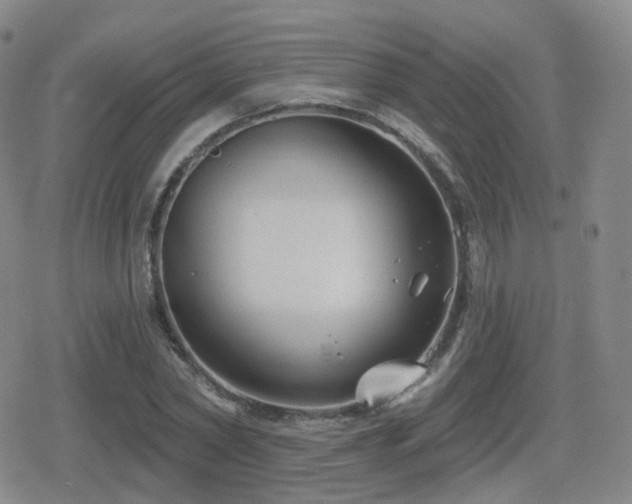 X0000080720782200612151158