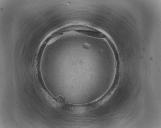 X0000080720783200612151158