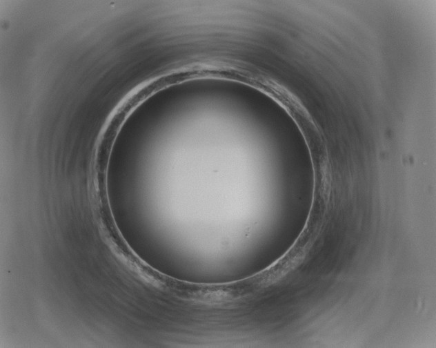 X0000080720784200612151158