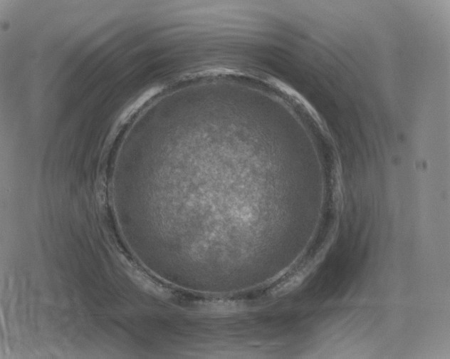 X0000080720785200612151158