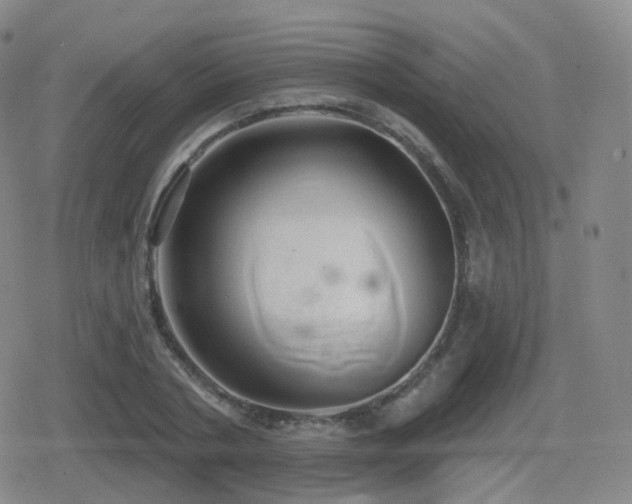 X0000080720786200612151158