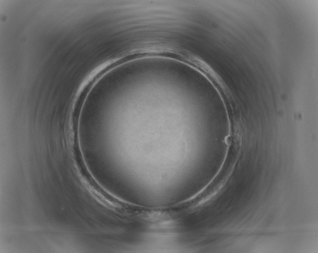 X0000080720787200612151158