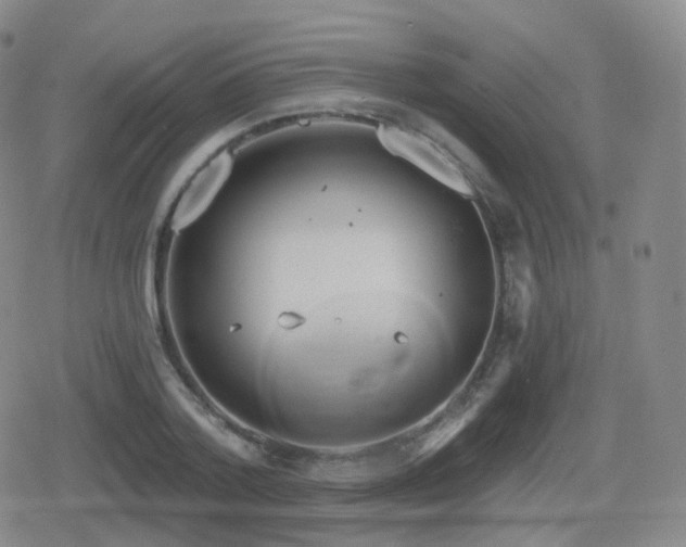 X0000080720788200612151158