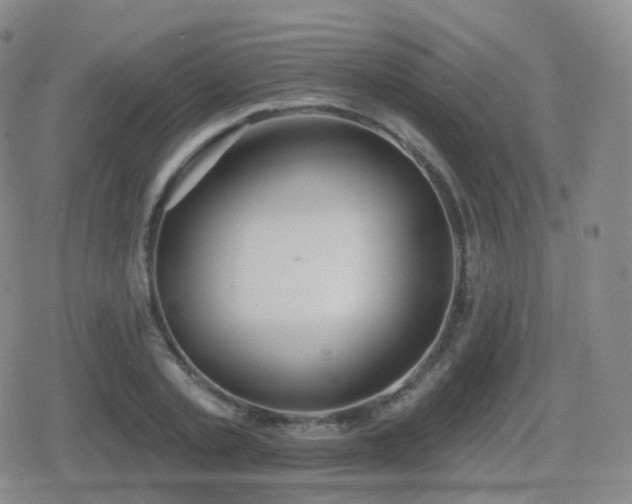 X0000080720789200612151158