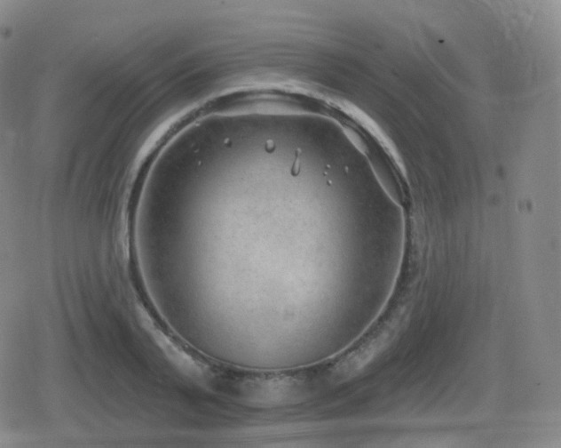 X0000080720791200612151157