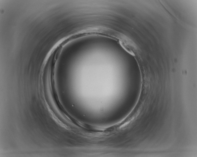 X0000080720792200612151157