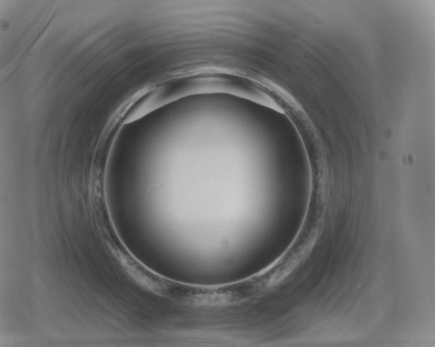 X0000080720793200612151157