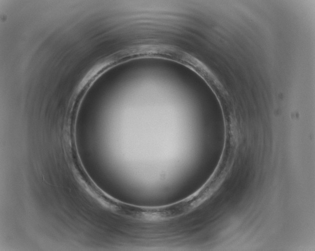 X0000080720794200612151157