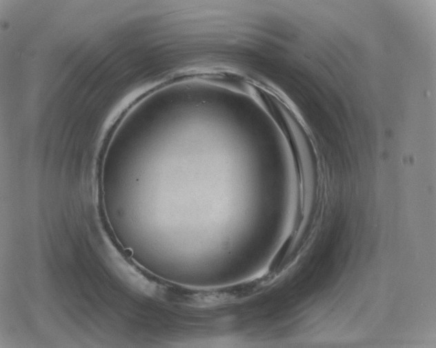 X0000080720795200612151157