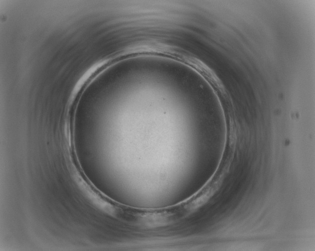 X0000080720796200612151157