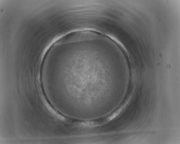 X0000080720797200612151157