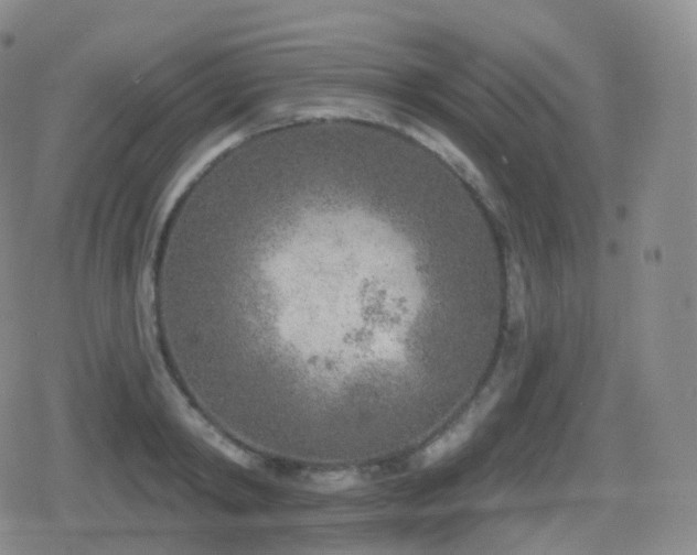 X0000080720798200612151157