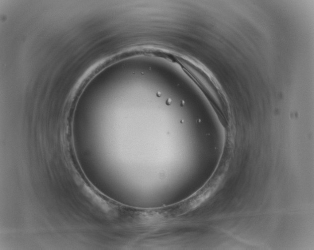 X0000080720799200612151157