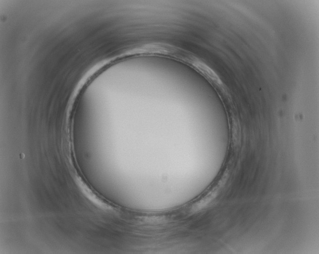 X0000080720800200612151157