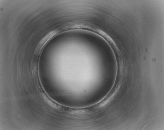 X0000080720801200612151157