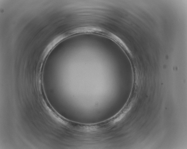 X0000080720802200612151157