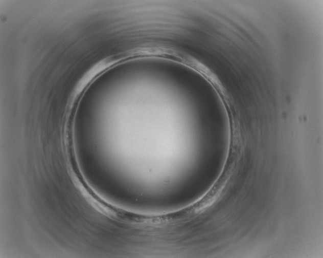 X0000080720803200612151157