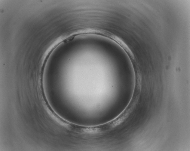 X0000080720805200612151157