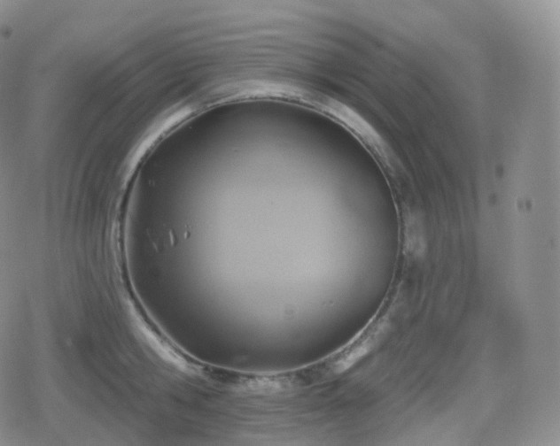 X0000080720806200612151157