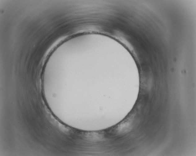 X0000080720807200612151157