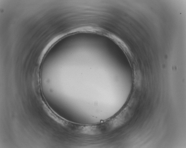 X0000080720808200612151157