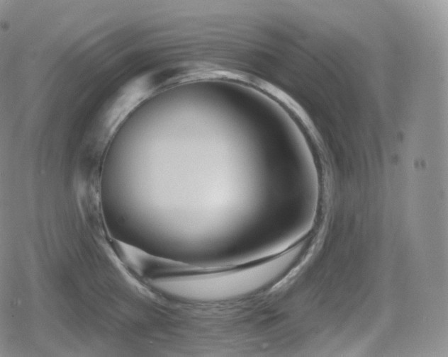 X0000080720809200612151157