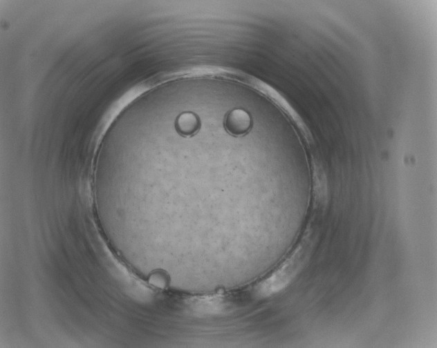 X0000080720810200612151157